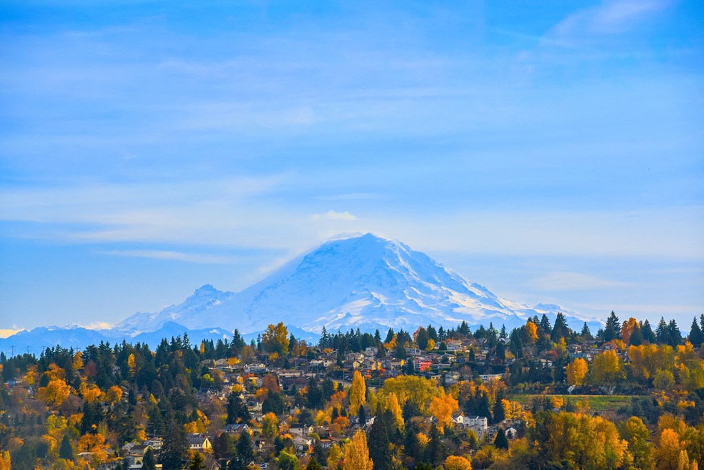 a snow covered mountain in the distance with trees in the foreground and a blue sky