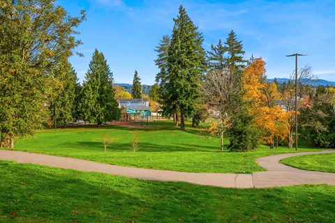 a park with green grass and trees and a sidewalk