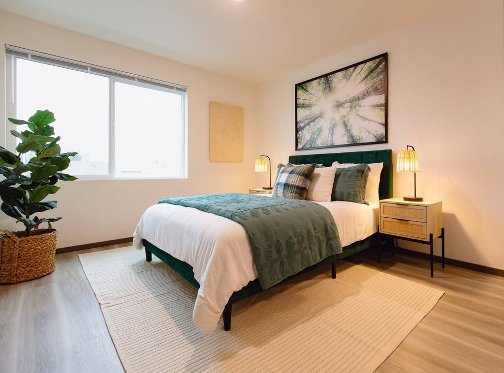 a bedroom with a bed and a plant and a window