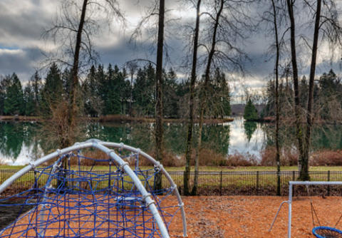 A blue playground structure sits in front of a lake and trees.