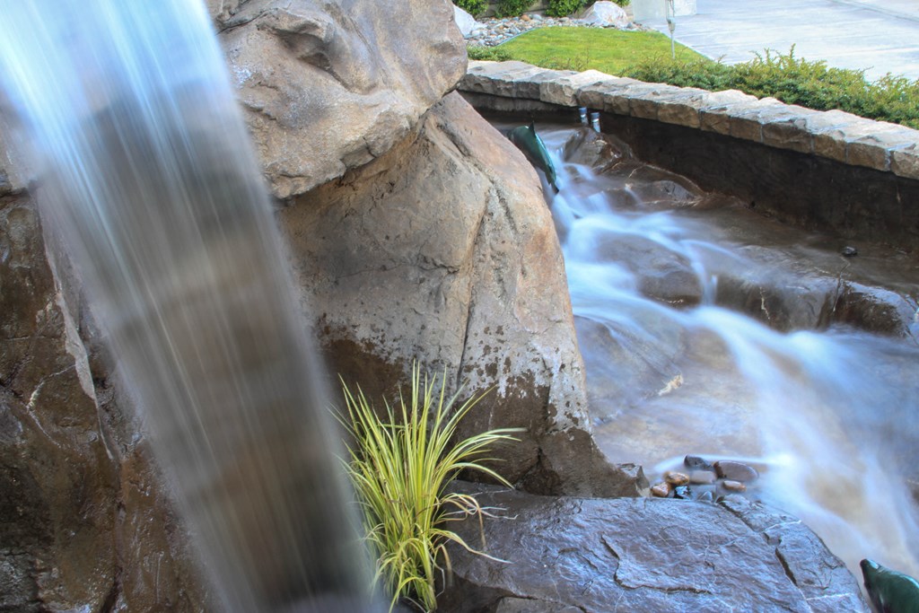 a waterfall in a garden with a rock and a plant