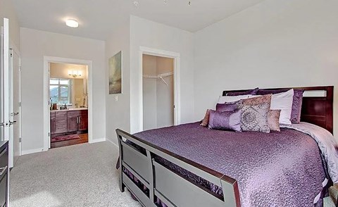 A bedroom with a purple bedspread and a large bed.