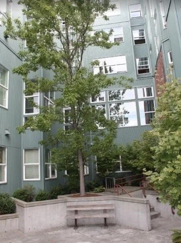 Courtyard