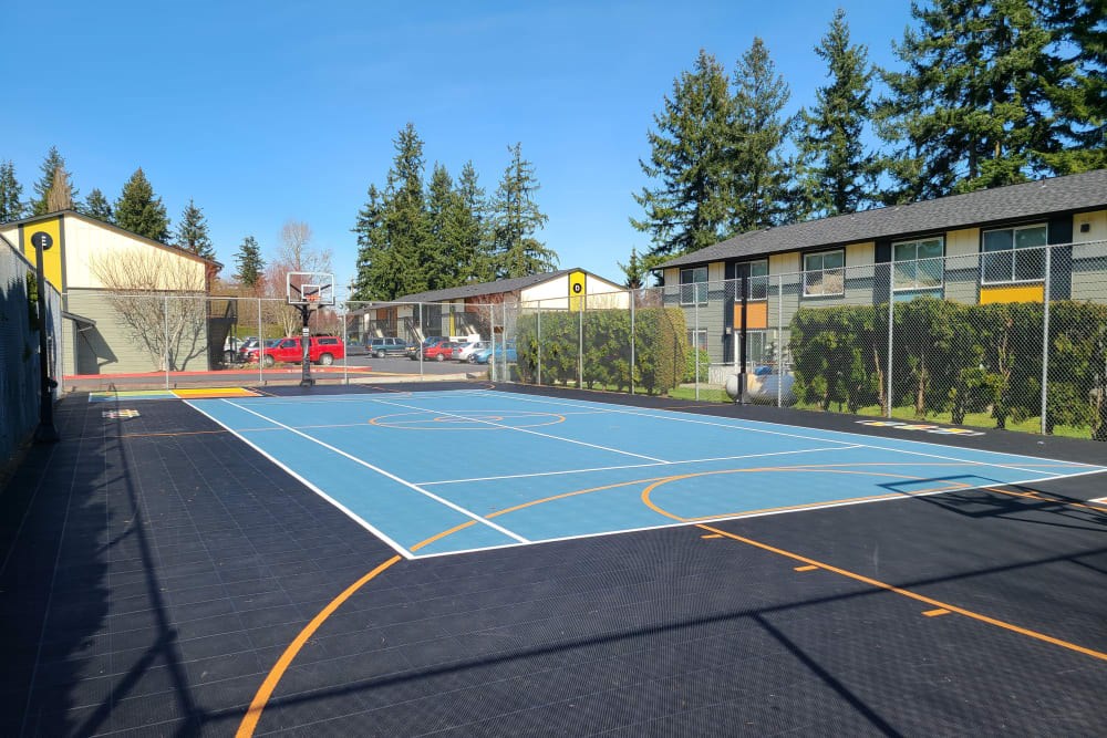 A basketball court with a blue surface and white lines.