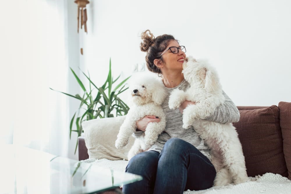 A woman is sitting on a couch holding a small white dog.