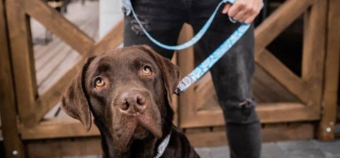 Cascade Ridge Apartments