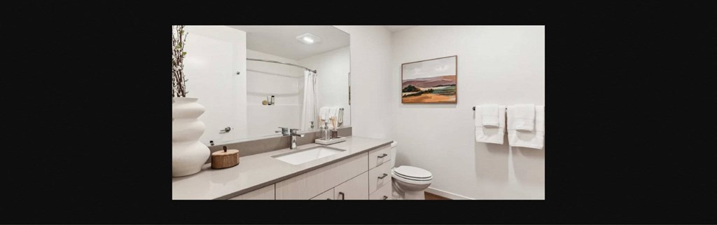 a bathroom with a sink toilet and a mirror