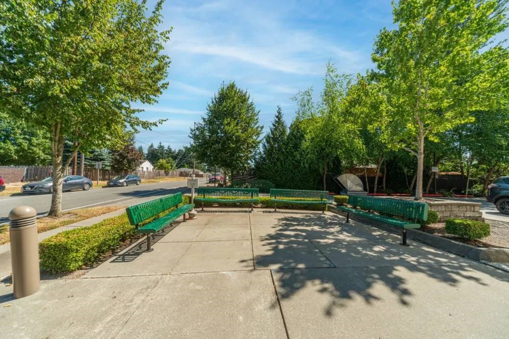A park with a bench and trees.