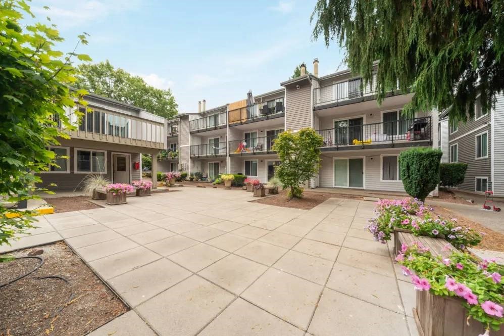 A courtyard surrounded by residential buildings with a concrete floor and flower beds.