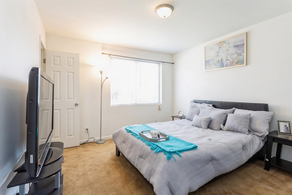 a bedroom with a bed and a tv