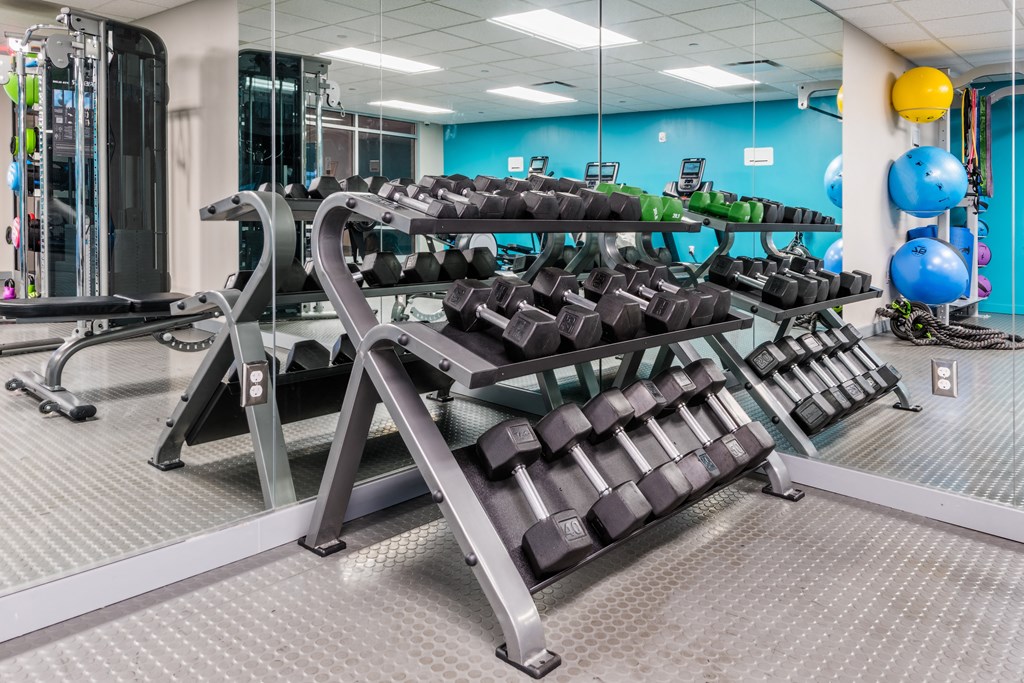 a gym with cardio equipment and weights in a building