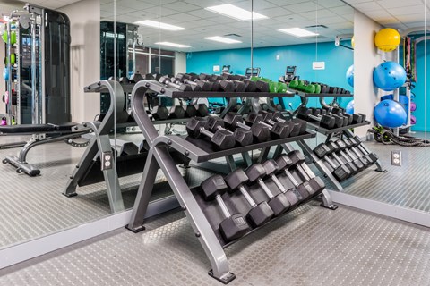 a gym with cardio equipment and weights in a building