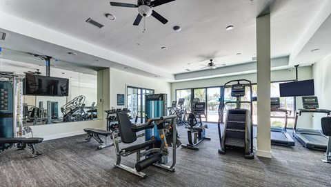 Gym with Equipment at Imperial Crossing Luxury Apartment Homes, Bonita Springs, 34134