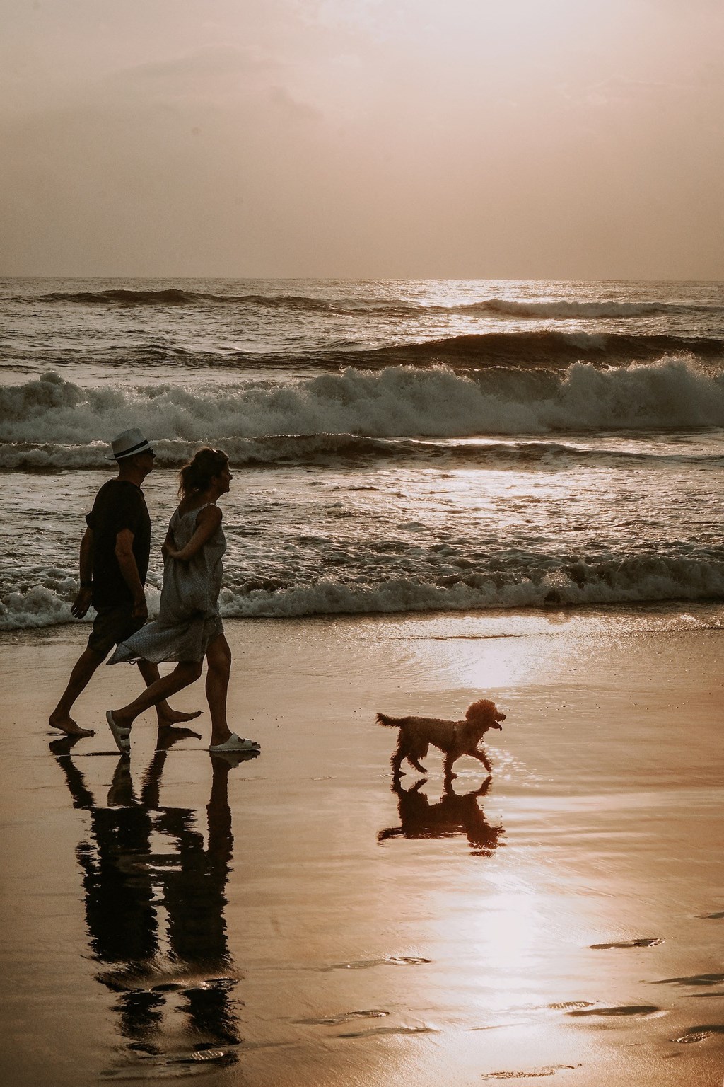 a man and woman walking their dog on the beach at Imperial Crossing Luxury Apartment Homes, Bonita Springs, FL