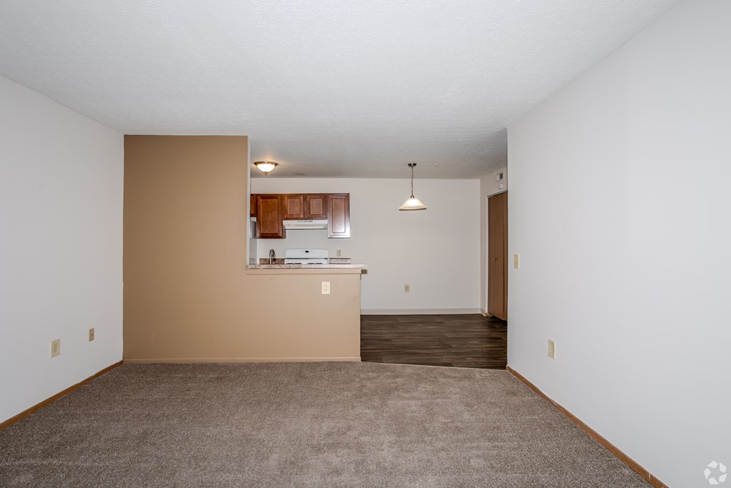 A room with a brown wall and a carpeted floor.
