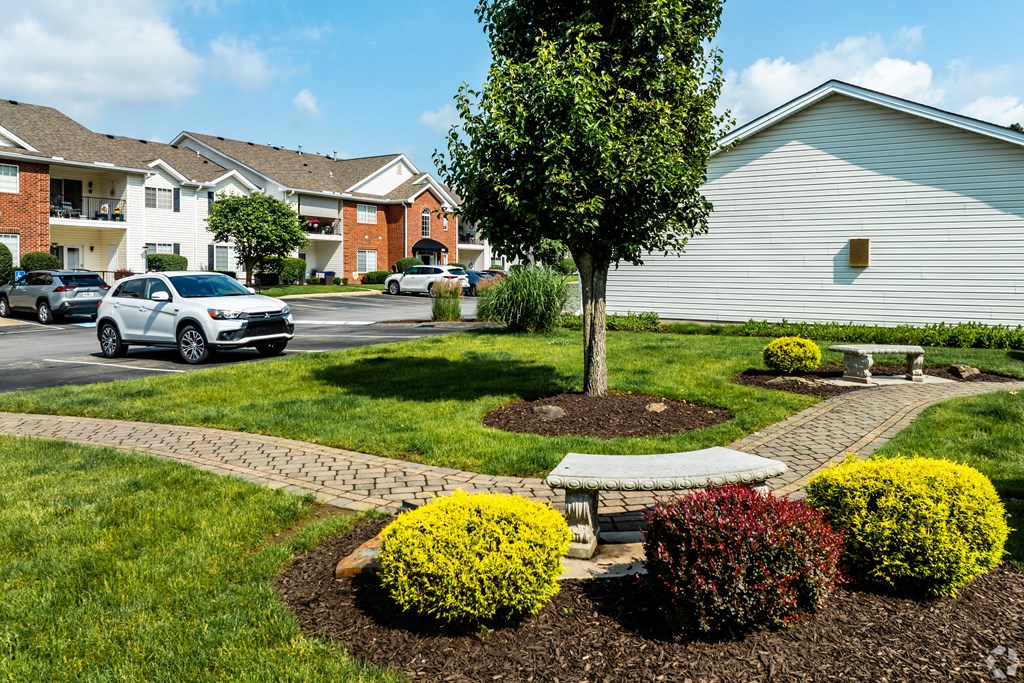 A tree in a garden with a white bench and a house in the background.