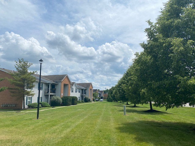 a green lawn in front of a row of houses