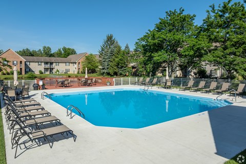 A large blue swimming pool surrounded by lounge chairs and trees.