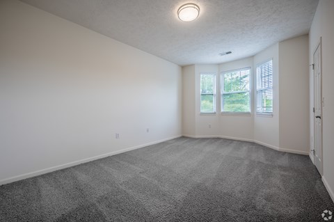A spacious room with a grey carpet and white walls.