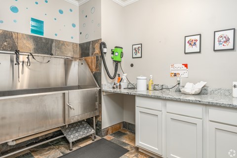 A kitchen with a stainless steel sink and a green robotic vacuum cleaner.