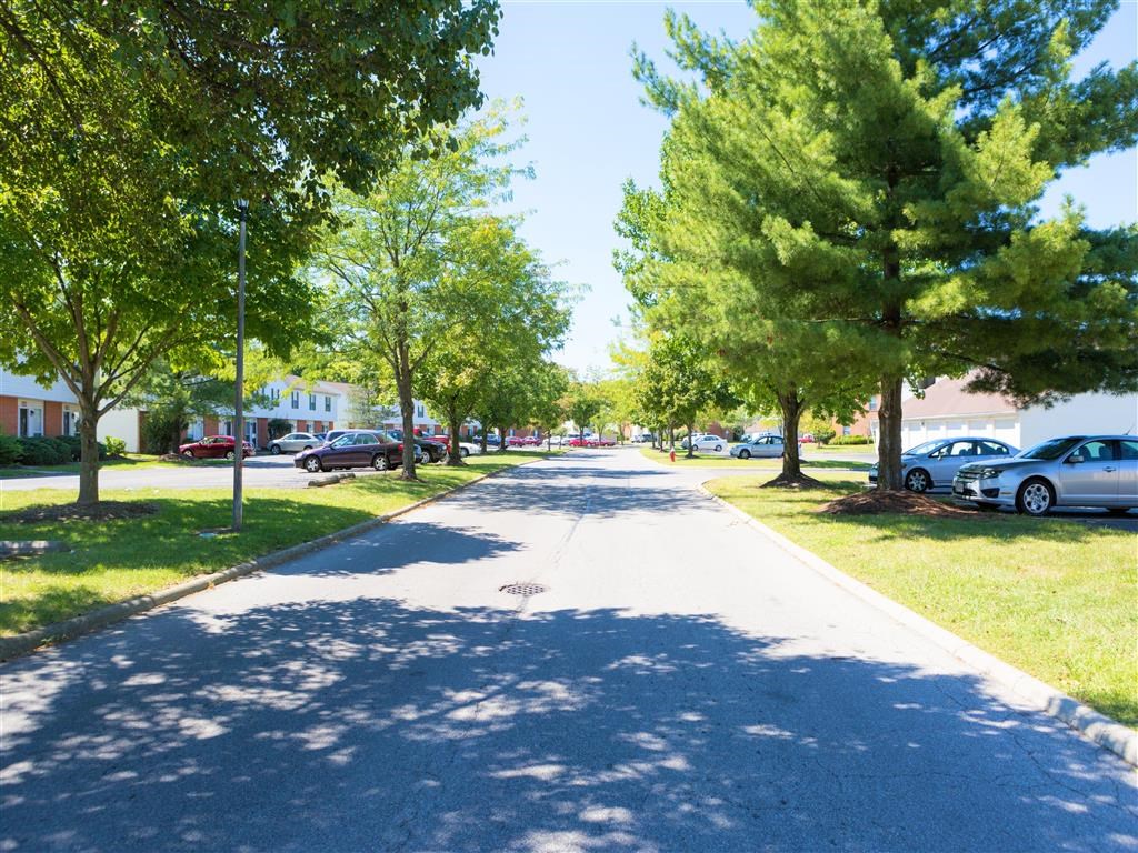 a tree lined street with cars parked on the side