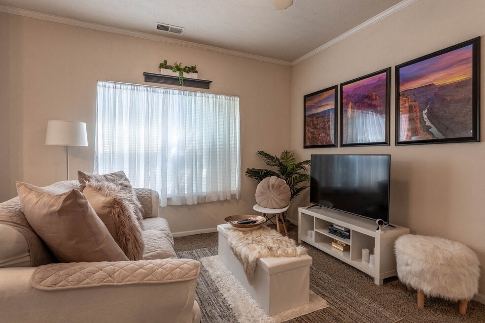 a living room with a couch and a television
