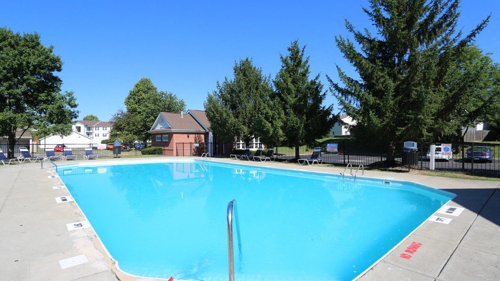 the swimming pool at the apartments for rent