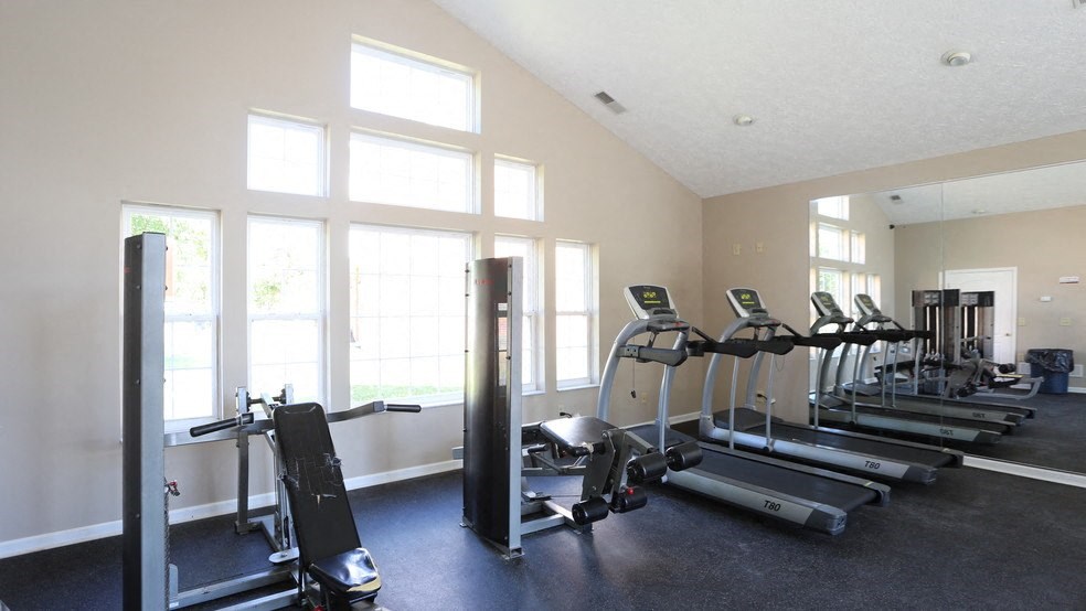 the gym has plenty of exercise equipment and windows