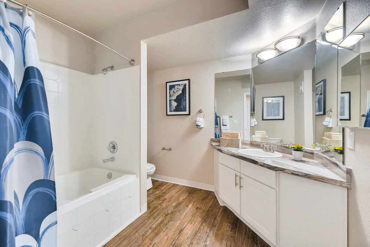 a bathroom with a tub and a sink and a mirror