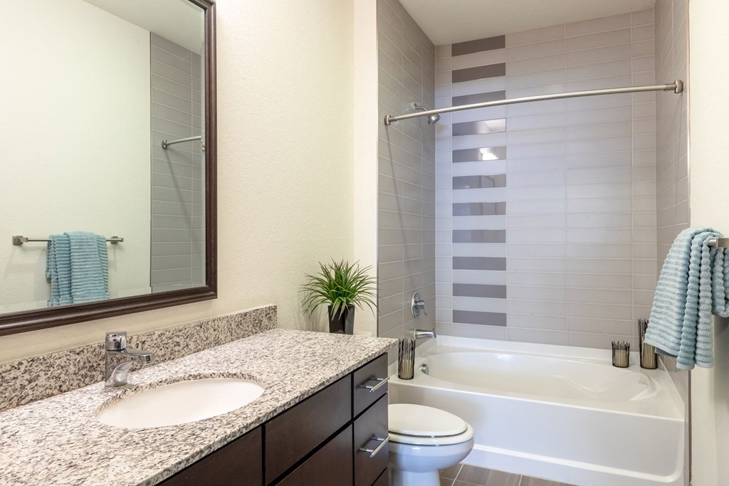 a bathroom with a sink and a toilet and a bath tub