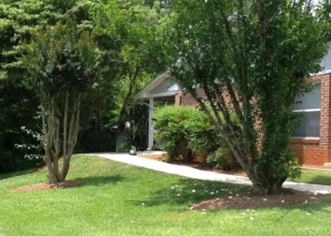a yard with a tree and a sidewalk in front of a house
