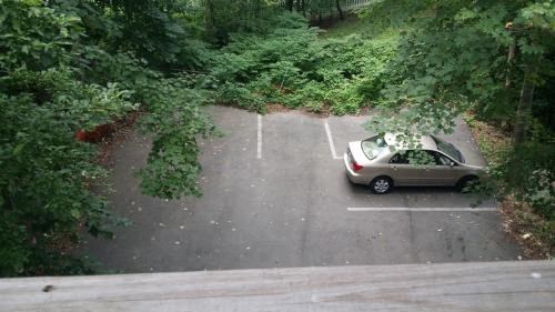 a car is parked in a parking lot