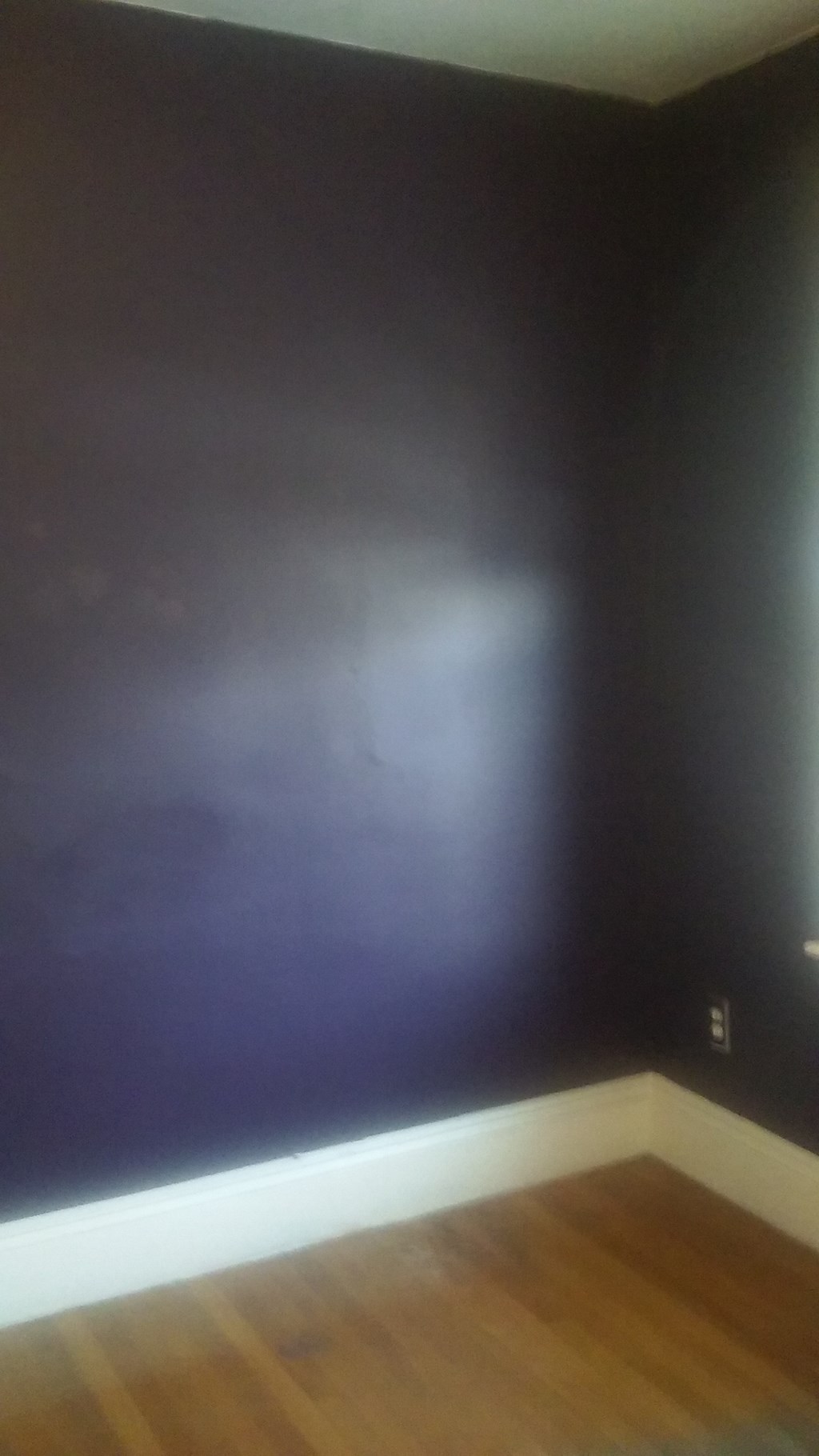 a room with a blue wall and a wooden floor