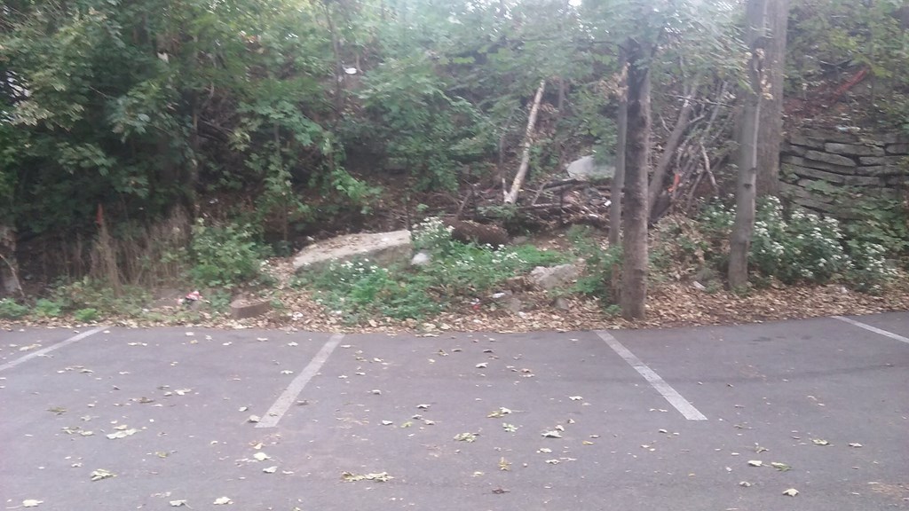a stone wall and trees next to a parking lot