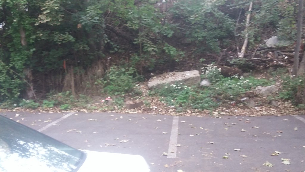 a rock on the side of a road next to a forest