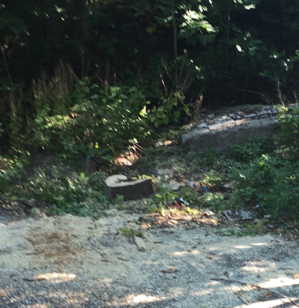 a tire on the side of a dirt road