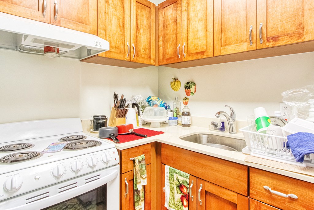 kitchen with white appliances and wood cabinets