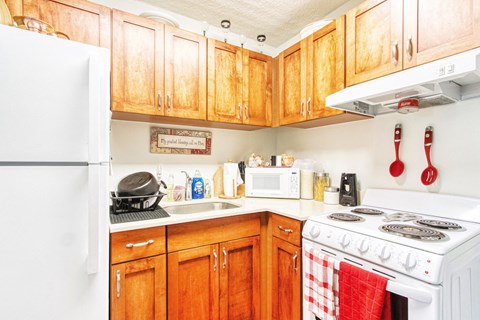 a kitchen with a stove refrigerator and sink