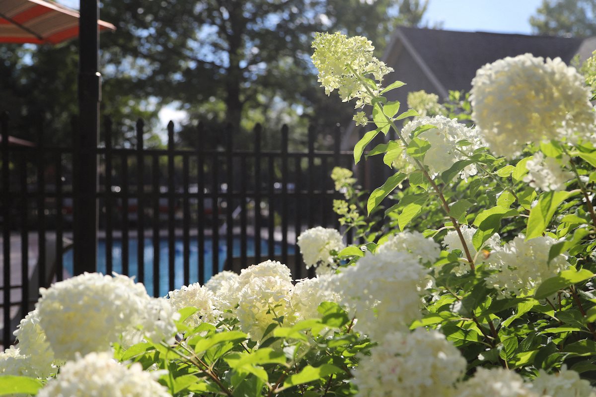 Photos and Video Bradford Chase Apartments in Jackson, TN