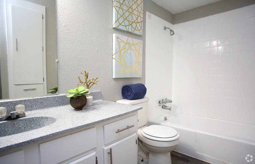 a bathroom with a sink and a toilet and a tub