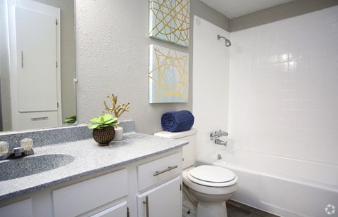 a bathroom with a sink and a toilet and a tub