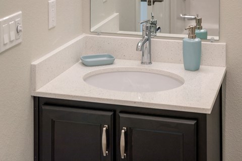 a bathroom with a sink and a mirror