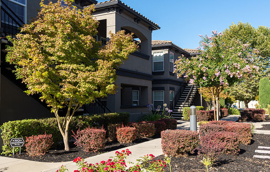 Landscape Grounds Exterior Building | Villagio Apartments in Ripon, CA 95366