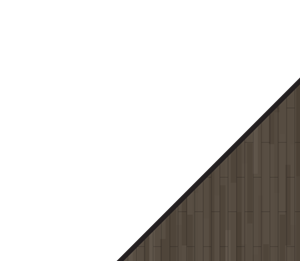 Phase 1- A4
