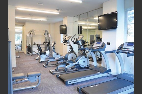 Cheap Apartments For Rent In Little Havana Miami Cheap Apartments For Rent In Little Havana Miami