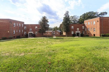 3738 D Street, SE 1-2 Beds Apartment for Rent - Photo Gallery 6