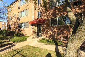 57 Galveston Street, NW 1-2 Beds Apartment for Rent - Photo Gallery 2
