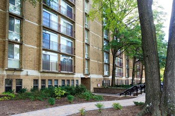 4651 Nannie Helen Burroughs Ave, NE 1-3 Beds Apartment for Rent - Photo Gallery 3