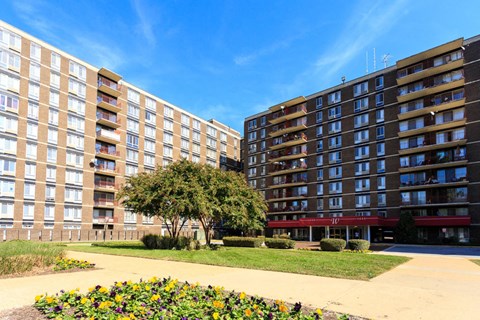 a large building with a sidewalk and a tree in front of it