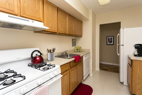 a kitchen with a stove and a sink and a refrigerator